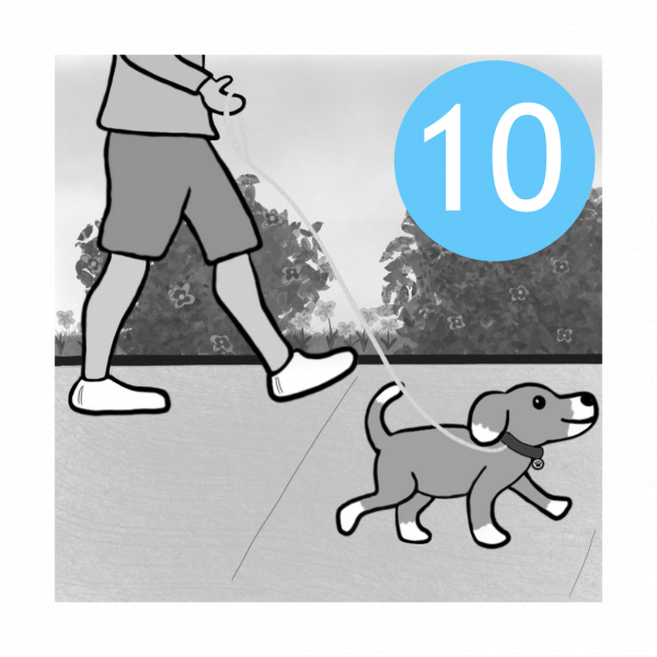 10 Walks